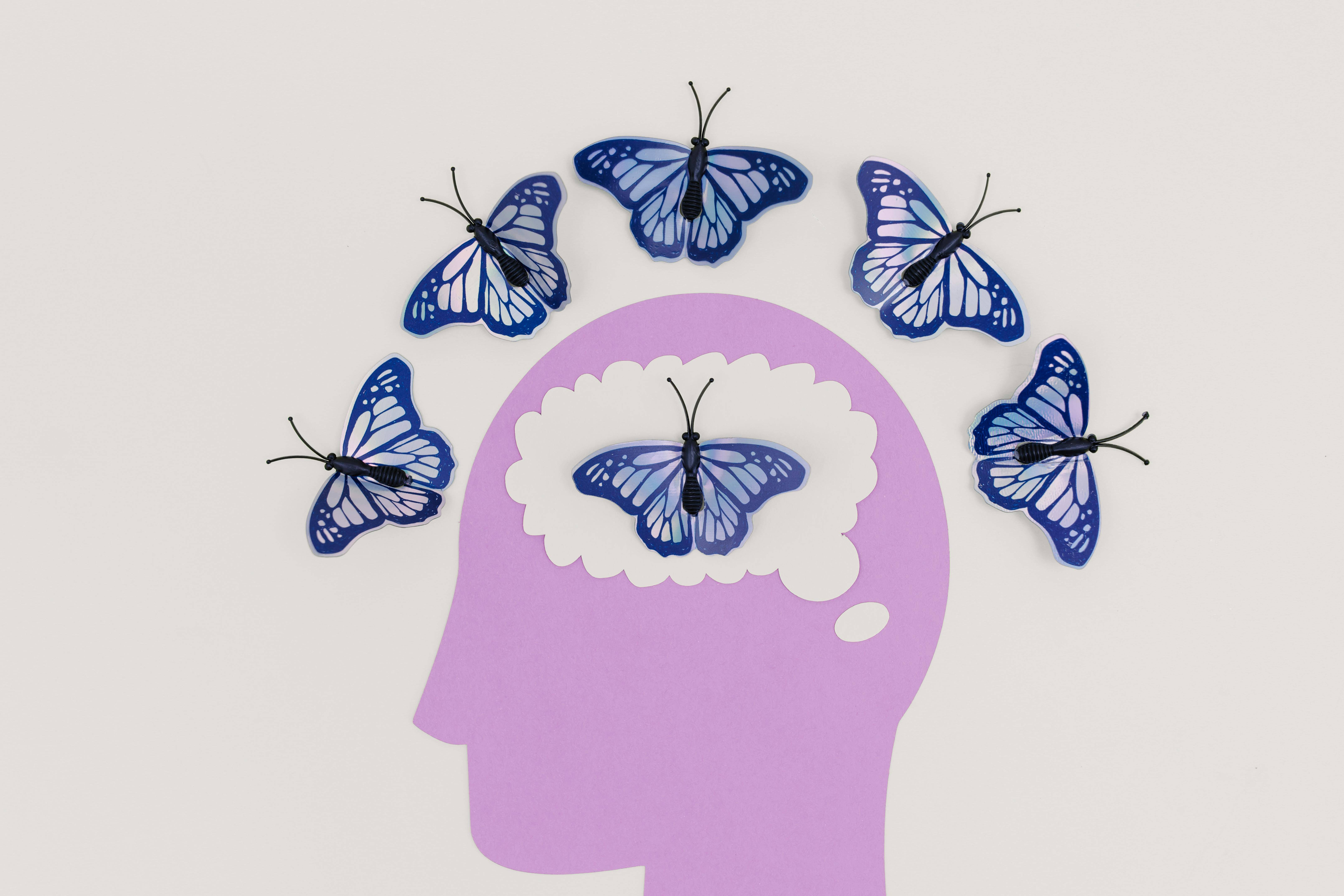 An image of a head with butterflies